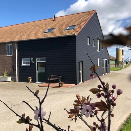 Appartement De Graanzolder Aan Zeeuwse Kust Hoofdplaat Exteriér fotografie