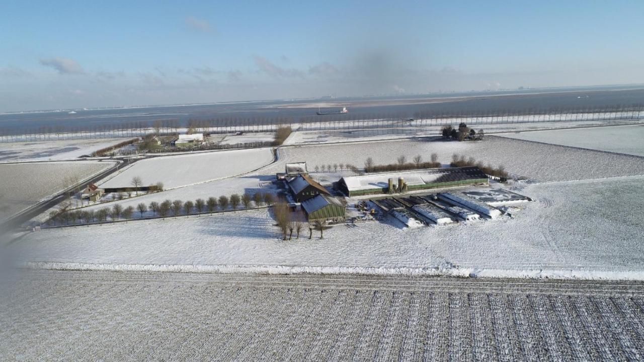 Appartement De Graanzolder Aan Zeeuwse Kust Hoofdplaat Exteriér fotografie