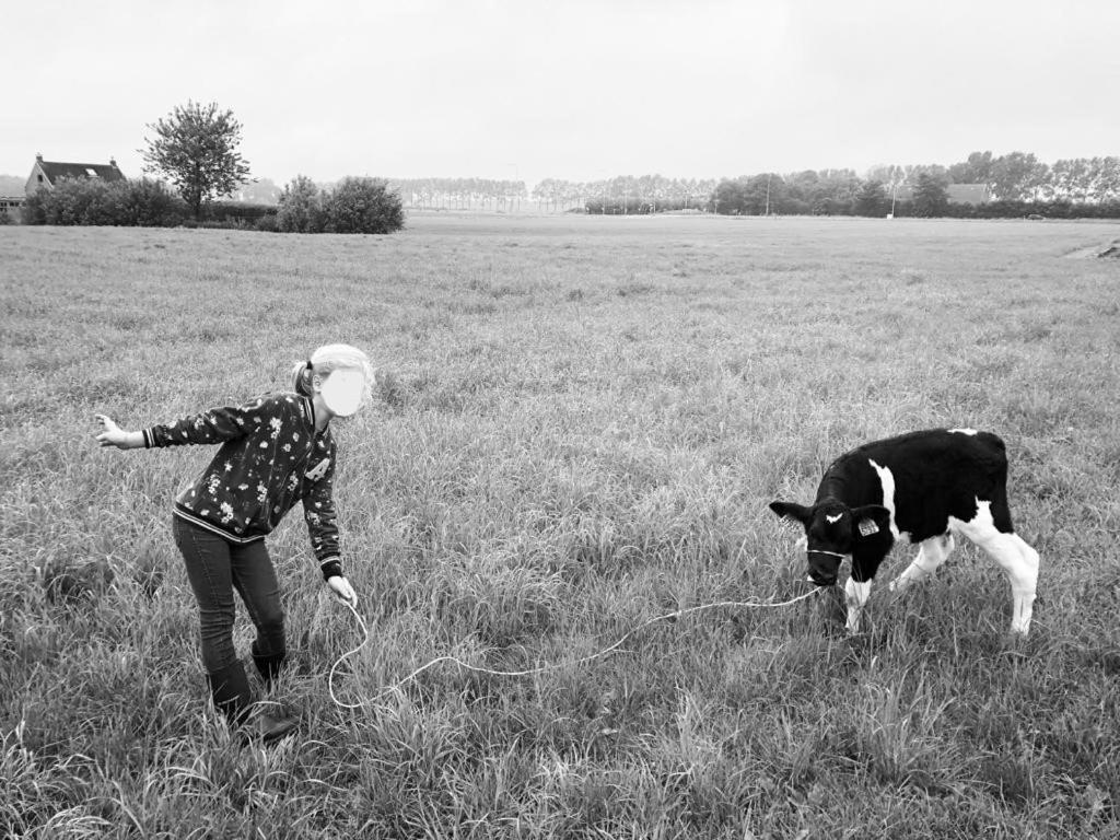 Appartement De Graanzolder Aan Zeeuwse Kust Hoofdplaat Exteriér fotografie
