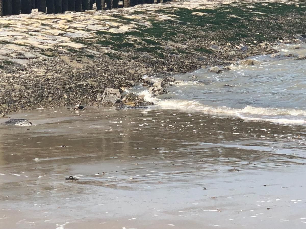 Appartement De Graanzolder Aan Zeeuwse Kust Hoofdplaat Exteriér fotografie