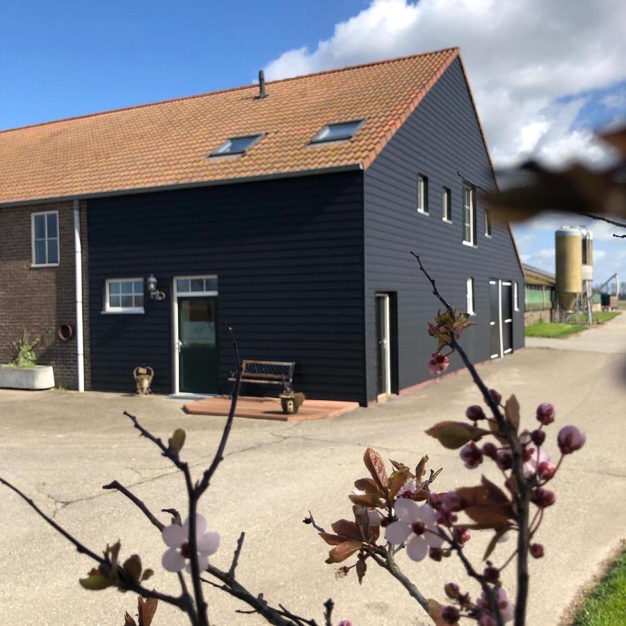 Appartement De Graanzolder Aan Zeeuwse Kust Hoofdplaat Exteriér fotografie