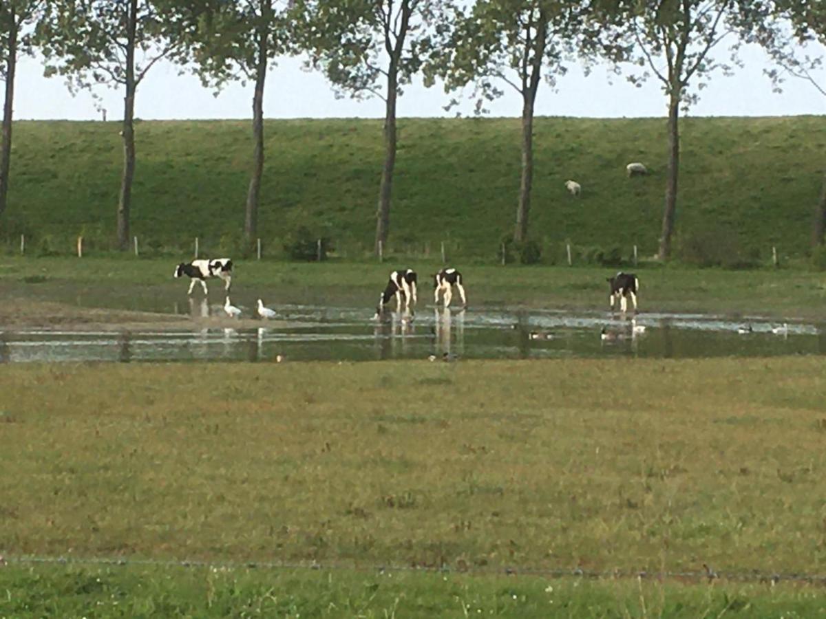 Appartement De Graanzolder Aan Zeeuwse Kust Hoofdplaat Exteriér fotografie