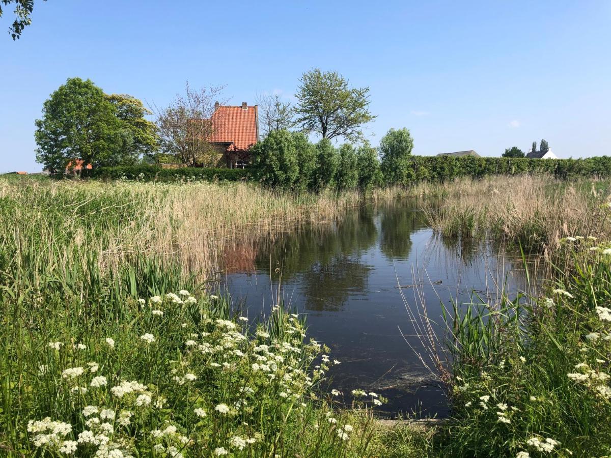Appartement De Graanzolder Aan Zeeuwse Kust Hoofdplaat Exteriér fotografie