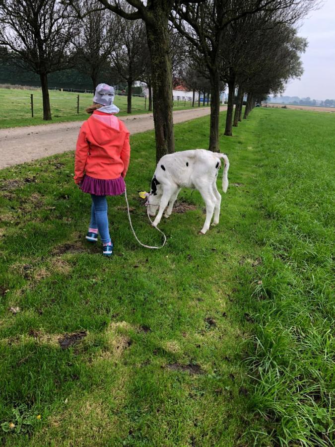 Appartement De Graanzolder Aan Zeeuwse Kust Hoofdplaat Exteriér fotografie