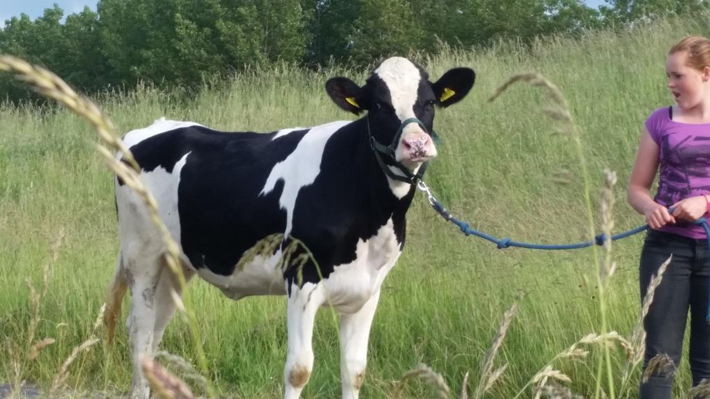 Appartement De Graanzolder Aan Zeeuwse Kust Hoofdplaat Exteriér fotografie